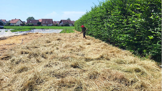 Hecken und Agroforst im Kleinsthof